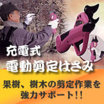 充電式電動剪定はさみ